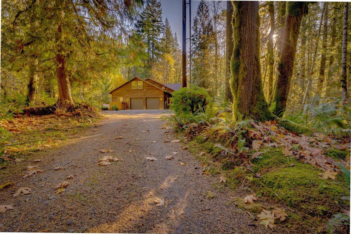 A serene exterior image showing the house nestled among tall trees, with a gravel driveway leading up and the soft embrace of forest surroundings. The peaceful ambiance is tangible, offering a sense of privacy and retreat.