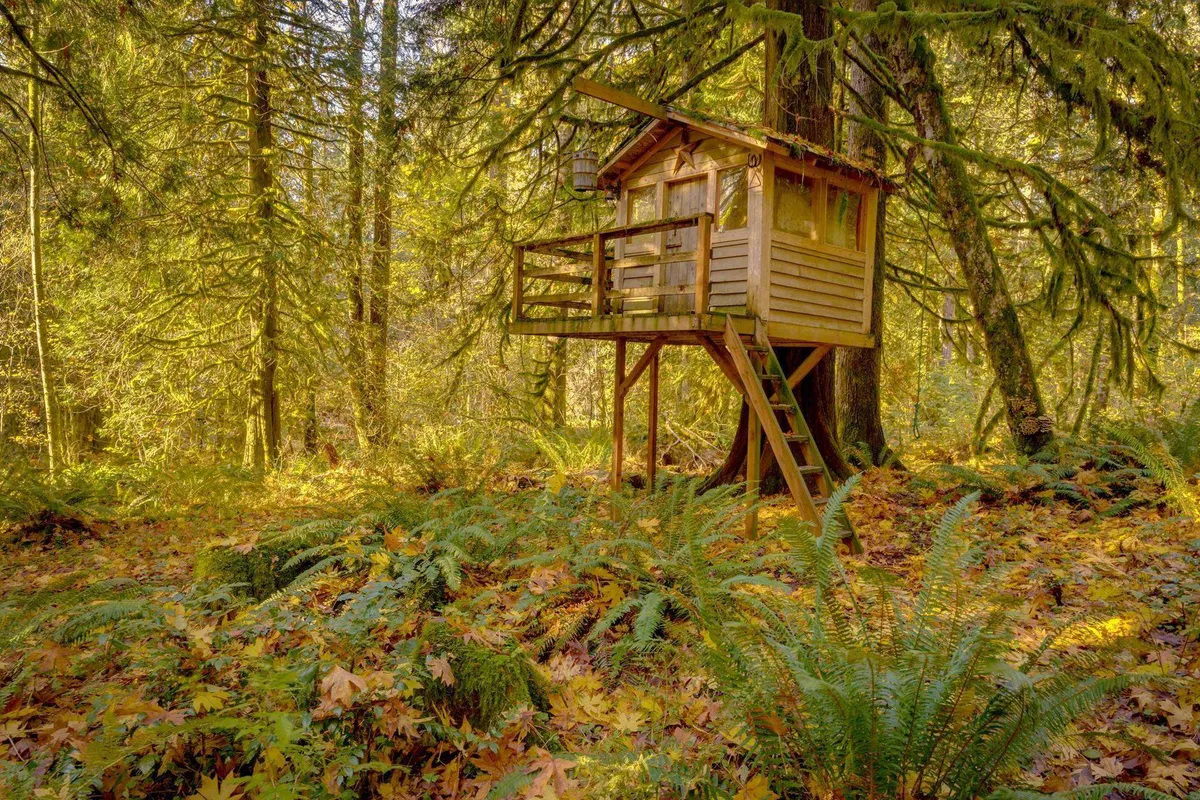 A whimsical treehouse nestled among towering trees and thick ferns with a carpet of fallen leaves beneath. The elevated structure is accessible by a short wooden bridge, enveloped by nature, evoking a sense of adventure and childhood wonder.