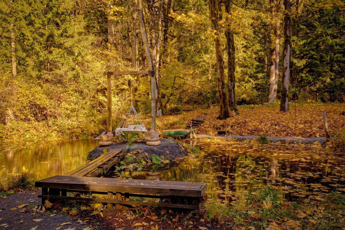 This tranquil scene includes a wooden swing overlooking the pond, a rustic bench, and a backdrop of surrounding trees. The peaceful setting invites storytelling, wildlife spotting, and quiet moments by the water.